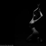 dailyPhoto40